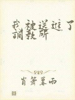 我被送进了私奴调教所