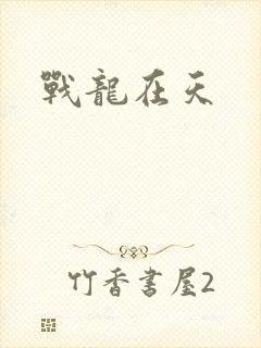 战龙在天