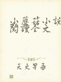 小蘑菇小说免费阅读全文