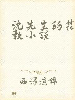 沈先生的花式调教小说