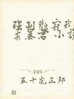 强制欢宠我的温柔暴君 小说