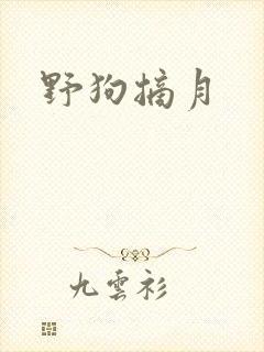 野狗摘月