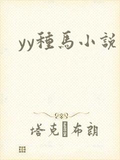 yy种马小说