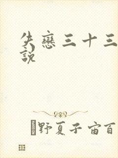 失恋三十三天小说