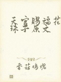 天官赐福花怜塞珠子原文