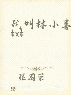 我叫林小喜小说txt
