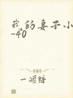 我的妻子小谨1-40