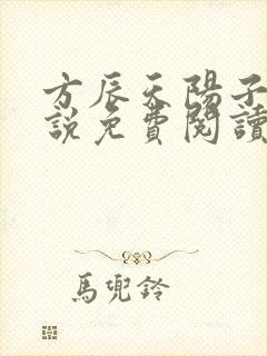 方辰天阳子的小说免费阅读