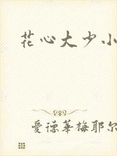 花心大少小说