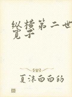 纵横第二世界 宽子