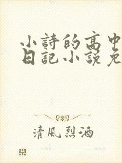 小诗的高中成长日记小说免费阅读