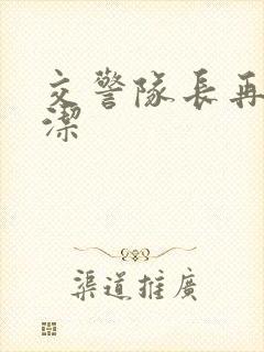 交警队长再遇白洁