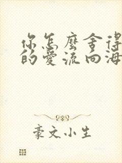 你怎么舍得让我的爱流向海