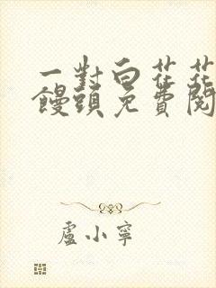 一对白花花的大馒头免费阅读