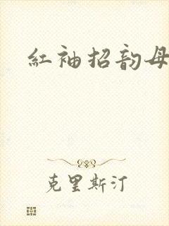 红袖招韵母攻略