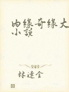内缘奇缘大团圆小说