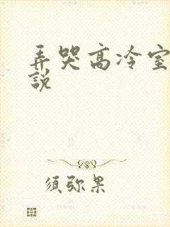 弄哭高冷室友小说