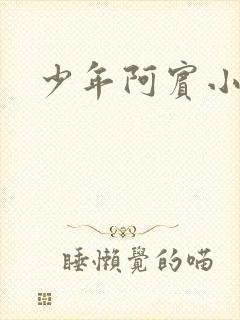 少年阿宾小说