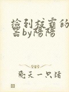 捡到校霸的遥控器by阳阳