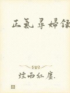 正气寻妇录