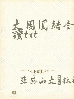 大团圆结全文阅读txt