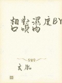 相对湿度BY大口吃肉