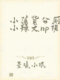 小荡货公厕h文小辣文np视频