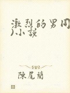 激烈的男同(h)小说