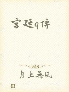 宫廷q传