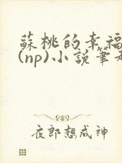 苏桃的幸福生活(np)小说笔趣阁沐沐