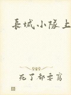 长城小队上中下