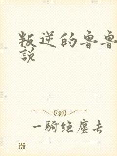 叛逆的鲁鲁修小说