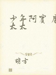 少年阿宾 房东太太