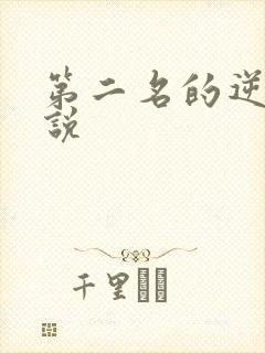 第二名的逆袭小说