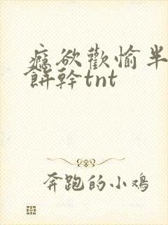 瘾欲欢愉半块小饼干tnt