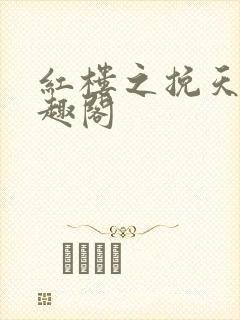 红楼之挽天倾笔趣阁