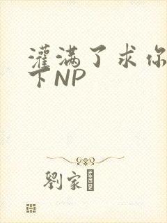 灌满了求你们停下NP
