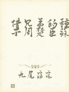 借兄弟的种生孩子周楚臣苏糖