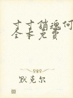 寸寸销魂何生祥全本免费