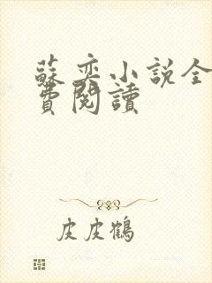 苏奕小说全文免费阅读