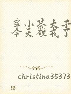 宁小茶太子殿下今天破戒了吗免费阅读