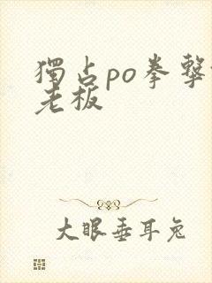 独占po拳击馆老板