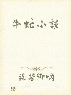 牛虻小说