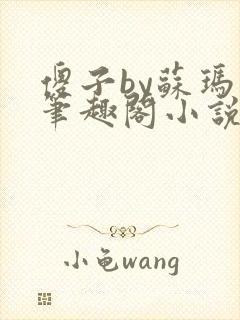 傻子by苏玛丽笔趣阁小说