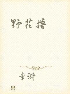野花撸