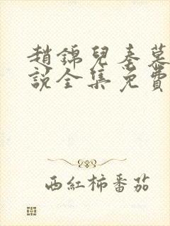 赵锦儿秦慕修小说全集免费