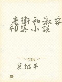 老卫和淑容1-40集小说