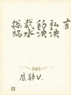 总裁的私有宝贝祸水泱泱