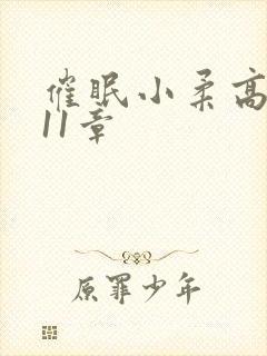 催眠小柔高达第11章