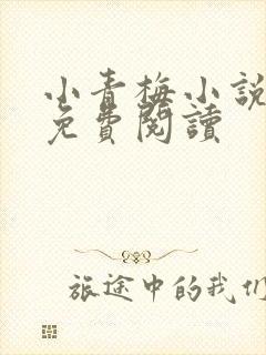 小青梅小说全文免费阅读